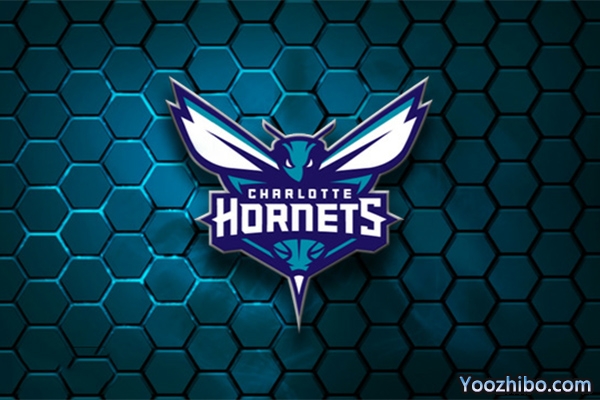 2019-2020赛季<a href=/lanqiuyouguan/hornets/ target=_blank class=infotextkey>黄蜂</a>队队徽